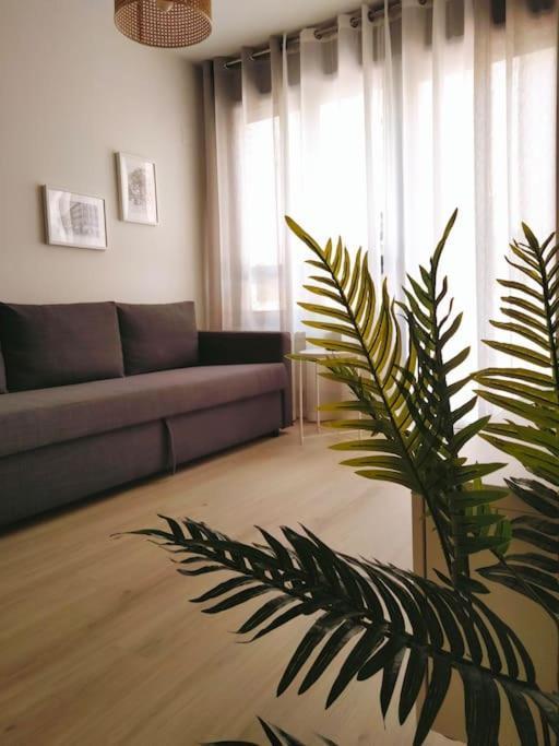 La Terraza De La Vega - Ubicacion Inmejorable , Wifi , Terraza Y Parking Gratuito Apartment Овиедо Екстериор снимка